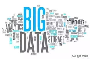 金融服务乡村振兴 农险的创新与发展与互联网数据服务的融合